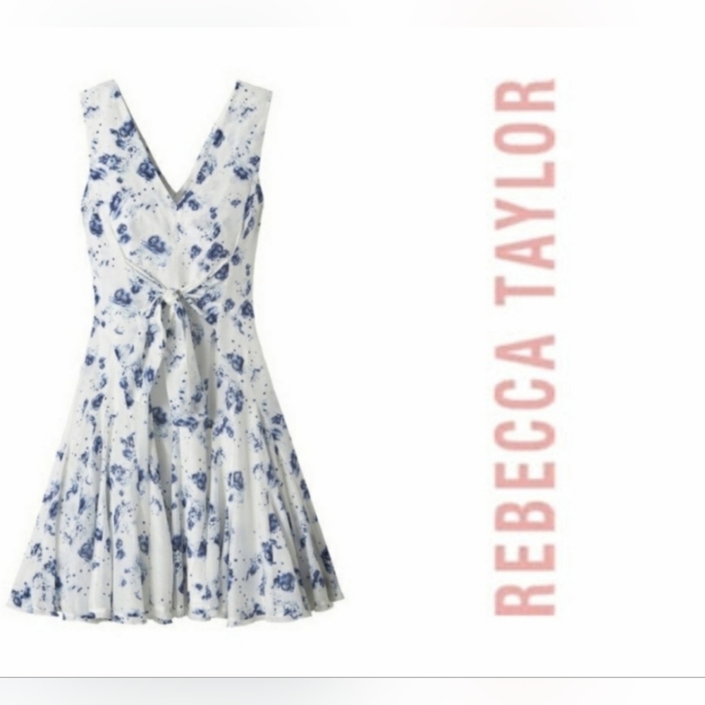 Rebecca Taylor Sleeveless V-Neck Meteor Dress Cottagecore